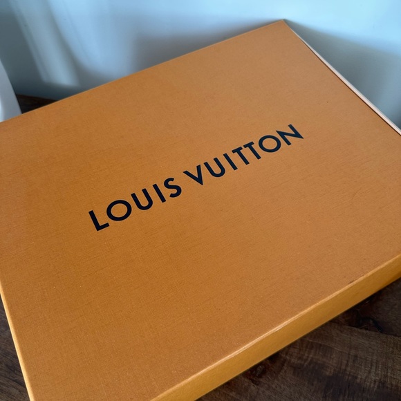 Louis Vuitton Archlight Sneaker - Picture 4 of 16